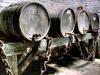 Wine Barrels