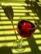 Red Wine Glass in Window
